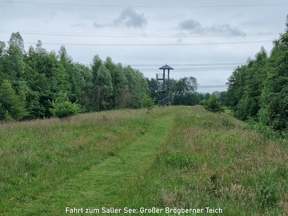 Biotop Brögberner Teiche