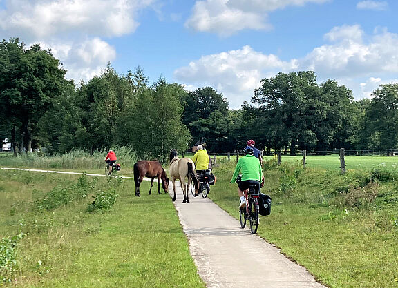 Auf dem Weg nach Almelo 01