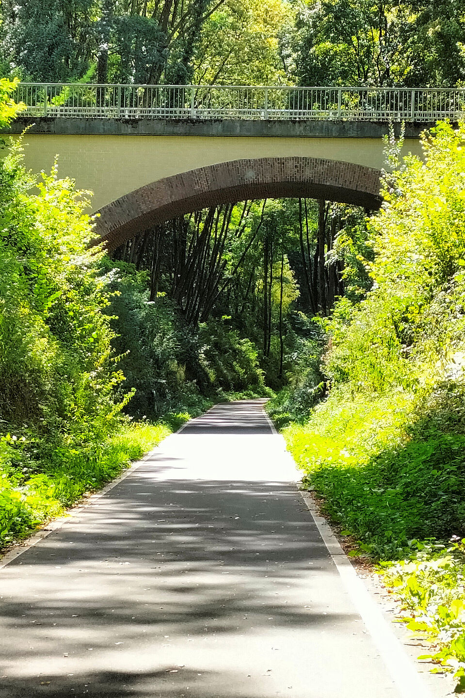 OG-Papenburg-2022-09-17-Muensterland-025-Hans-Poel.jpg Unterwegs im Münsterland mit dem ADFC Papenburg