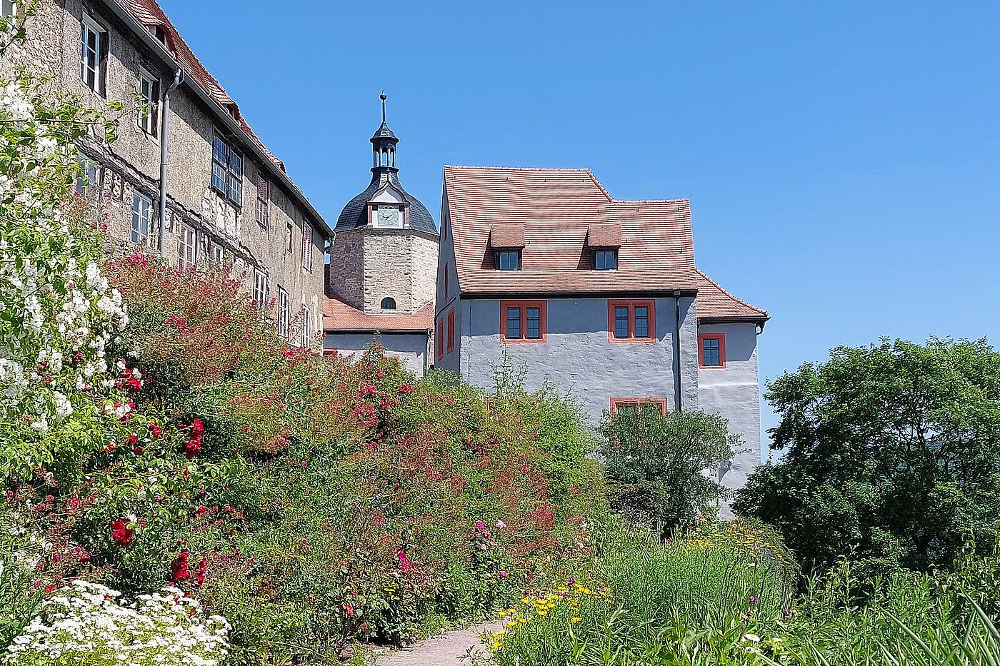 Blick auf ein Schloss in Dornburg mit blühenden Pflanzen im Vordergrund.