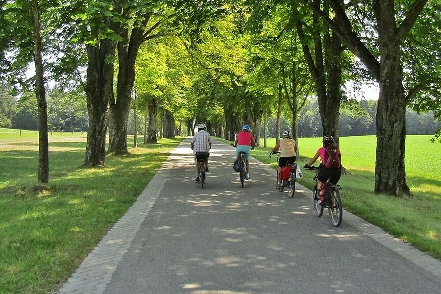 Radtour auf Radweg Radfahrer auf Radweg im Grünen