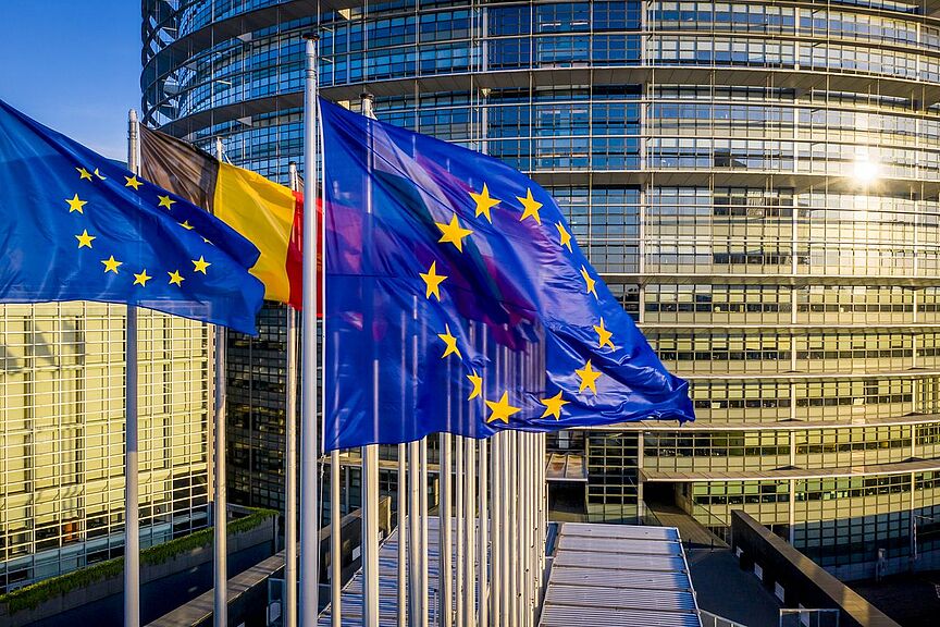 Aerial view of the EP building in Strasbourg Luftansicht des Gebäudes des Europäischen Parlaments, Nationalflaggen im Vordergrund.